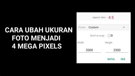 4 megapixel converter